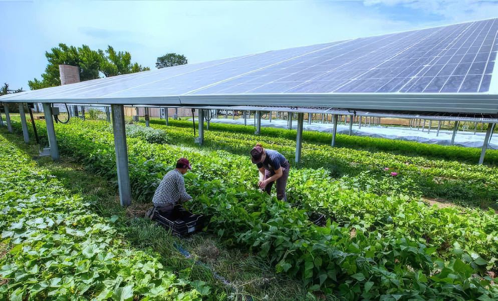 Panneaux verticaux est-ouest — Crédit Engie-Green