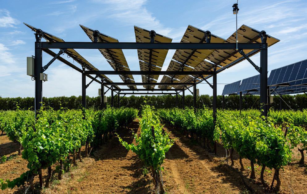 Panneaux avec traqueur — Crédit Sun-Agri